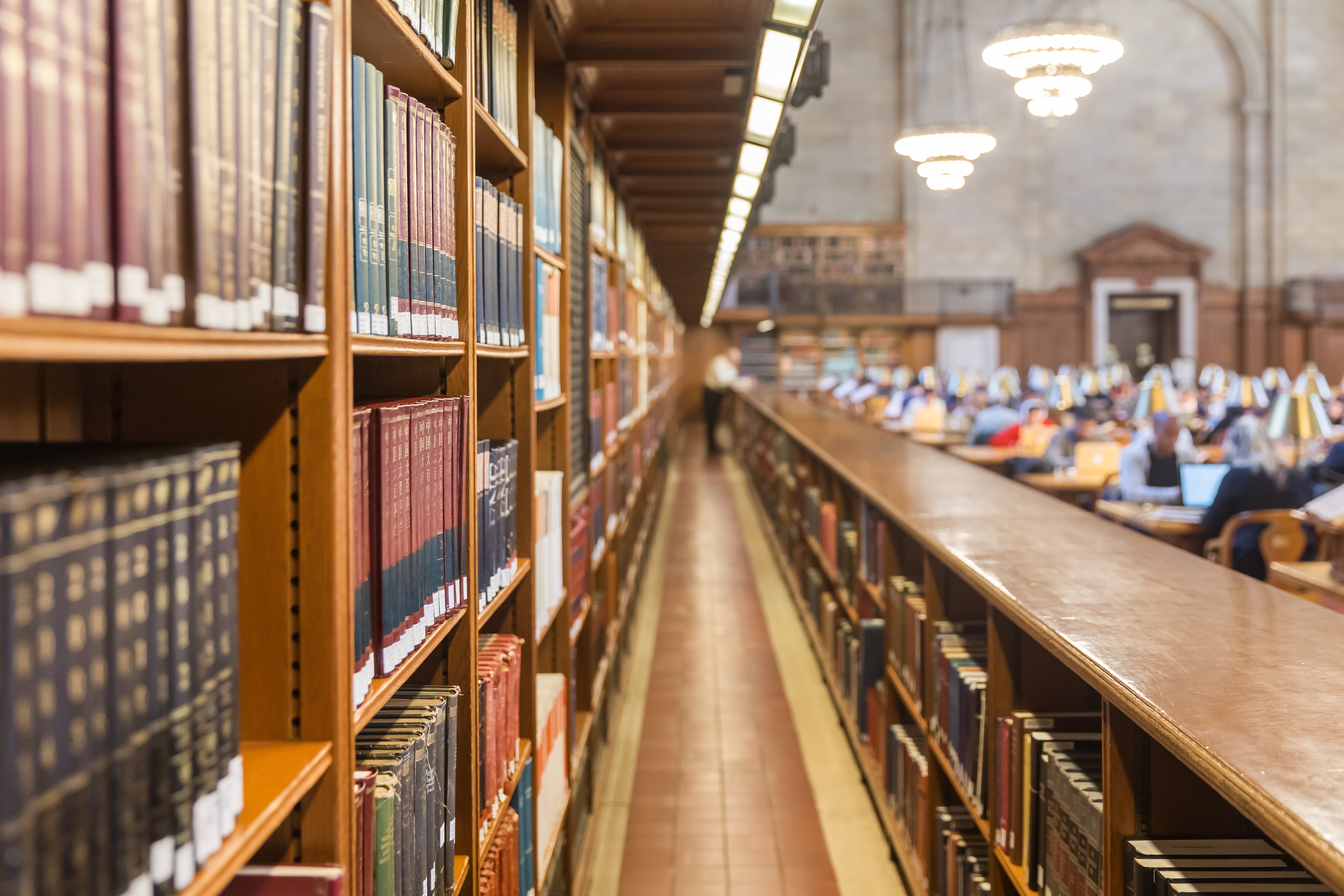 A wide shot of a quiet library reading room